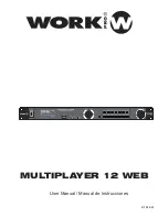 Work Pro MULTIPLAYER 12 WEB User Manual preview