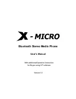 X-Micro XBT-DG3X User Manual preview