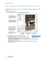 Preview for 81 page of Xerox DocuMate 3640 User Manual