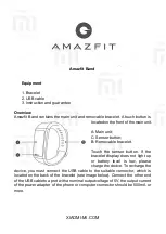 Xiaomi Amazfit Manual preview