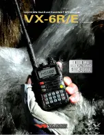 Yaesu VX-6E Brochure & Specs preview