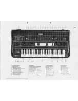 Preview for 57 page of Yamaha CS-60 Instruction Manual