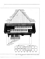 Preview for 6 page of Yamaha Electone D-3 Playing Manual