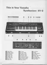 Preview for 5 page of Yamaha SY-2 User Manual