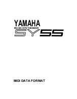 Preview for 161 page of Yamaha SY55 Product Manual