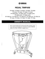 Yamaha TP-4223 Owner'S Manual preview