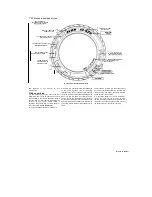 Preview for 170 page of Yamaha XTZ750 User Manual