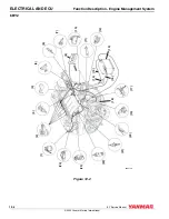 Preview for 212 page of Yanmar 4BY2 Service Manual