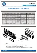 YLI YM-750 Manual preview