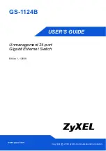 Preview for 1 page of ZyXEL Communications GS-1124B User Manual