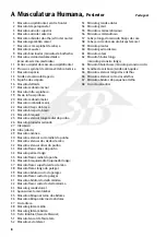 Предварительный просмотр 8 страницы 3B V2005 Manual