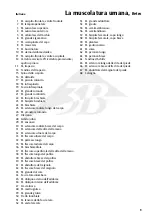 Предварительный просмотр 9 страницы 3B V2005 Manual