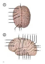 Preview for 14 page of 3B VH409 Manual