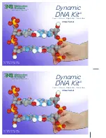 3D Molecular Designs Dynamic DNA Kit Manual preview