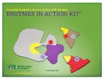 3D Molecular Designs ENZYMES IN ACTION KIT 6-Group Set Manual preview