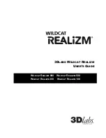 3Dlabs WILDCAT REALIZM 100 User Manual preview