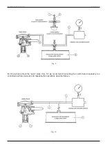 Preview for 9 page of 3L.P. GAS ICN Manual