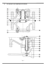 Preview for 12 page of 3L.P. GAS ICN Manual