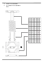 Preview for 16 page of 3L.P. GAS ICN Manual