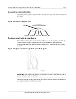 Предварительный просмотр 444 страницы 3M M1500SS MicroTouch User Manual