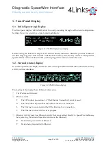 Preview for 22 page of 4Links Diagnostic SpaceWire Interface DSI-RG408 User Manual