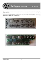 Preview for 19 page of 7Dials CV Express Build Manual