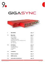 9dot GIGASYNC V2 Manual предпросмотр