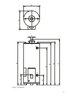 Предварительный просмотр 9 страницы A.O. Smith BTI - 65 Installation And User Instructions Manual