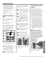 Предварительный просмотр 29 страницы A.O. Smith ProLine XE Installation Instructions And Use & Care Manual