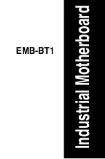 Aaeon EMB-BT1 Manual preview