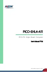 Preview for 1 page of Aaeon PICO-EHL4-A11 User Manual