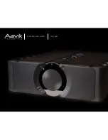 AAVIK M-300 MONO User Manual preview