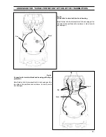 Preview for 29 page of ABB 6X1EH Operating Instructions Manual