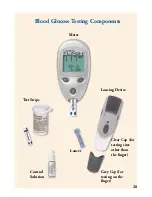 Предварительный просмотр 31 страницы Abbott FreeStyle Flash Blood Glucose Monitor Owner'S Booklet