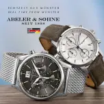 Abeler & Söhne 3040 Guarantee Certificate/Instructions Of Use preview