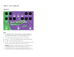 Preview for 4 page of Absara Audio Pigtronix Mothership User Manual