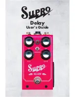 Absara Audio Supro Delay User Manual preview