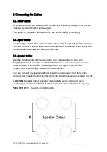 Preview for 7 page of Absolare Integrated Amplifier User Manual