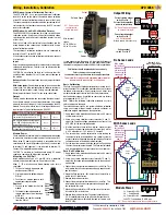 Preview for 3 page of Absolute Process Instruments APD 4059 Series Quick Manual