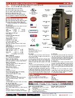 Absolute Process Instruments APD 4300 Manual preview