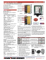 Preview for 1 page of Absolute Process Instruments API 1000 G Manual