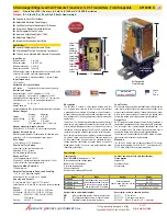 Absolute Process Instruments API 4058 G Series Quick Manual preview