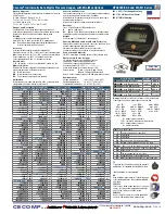 Absolute Process Instruments Cecomp DPG2000B Series Instructions preview