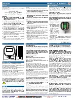 Preview for 2 page of Absolute Process Instruments Cecomp DPG2000B Series Instructions