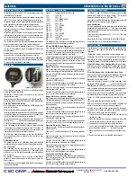 Preview for 4 page of Absolute Process Instruments Cecomp DPG2000B Series Instructions