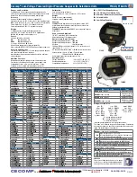 Absolute Process Instruments Cecomp F16AD Instructions preview