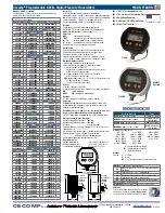 Предварительный просмотр 1 страницы Absolute Process Instruments Cecomp F16DR Series Instructions