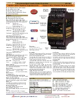 Preview for 1 page of Absolute Process Instruments DuoPak APD 2011 Manual