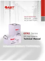 Abt 6GFMJ-100 Technical Manual preview