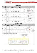 Preview for 13 page of AC STAG-300 QMAX BASIC User Manual